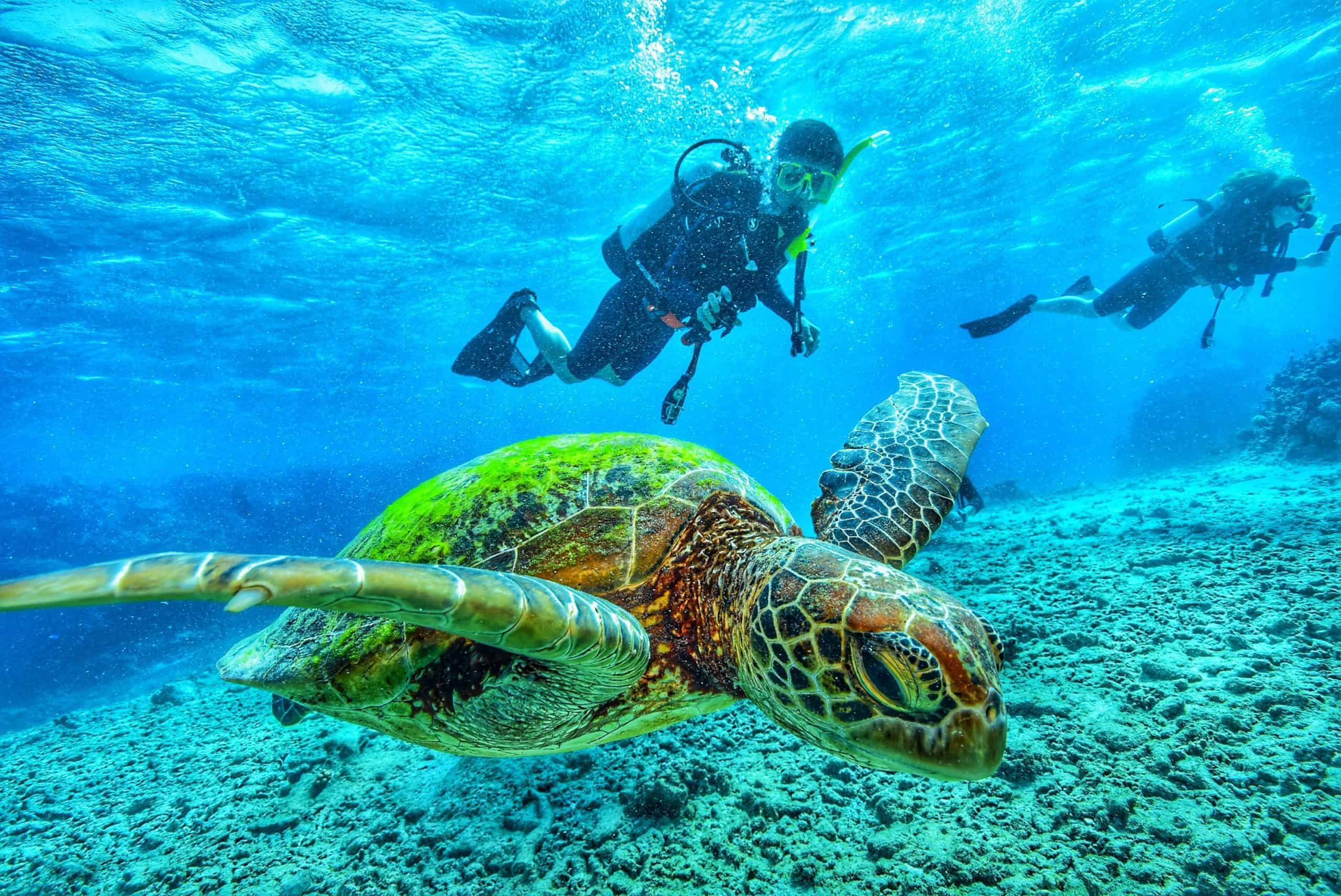 Shore Dive in Red Sea Hurghada