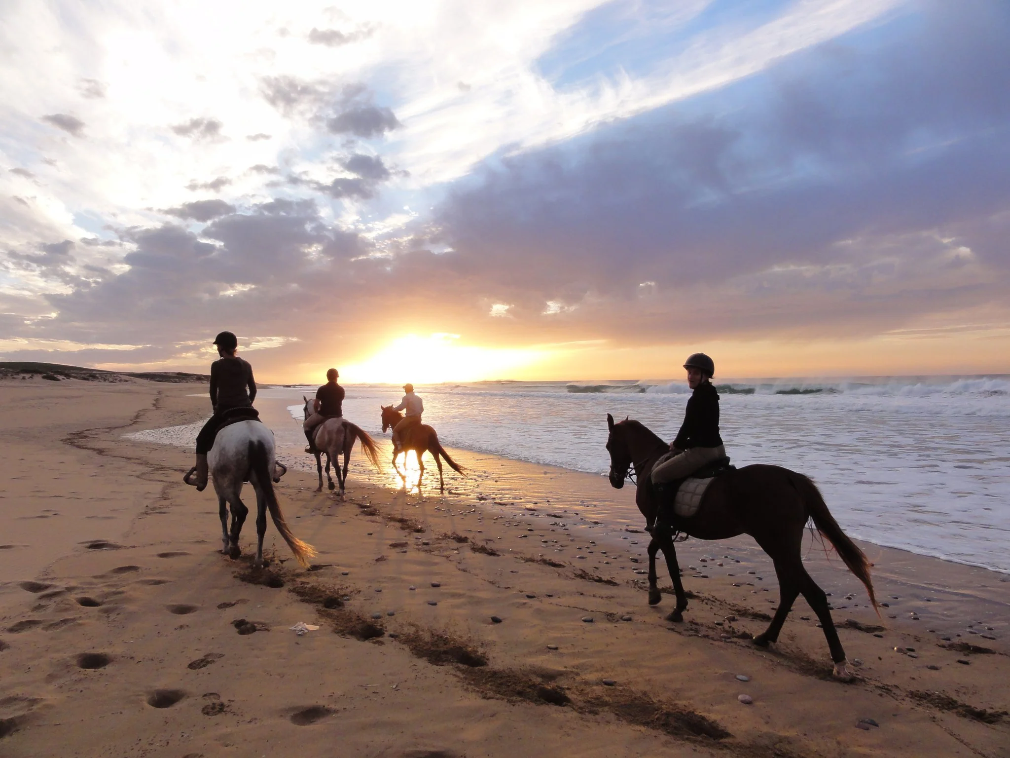 A Day Adventure: Sea and Desert Horse Riding Tour