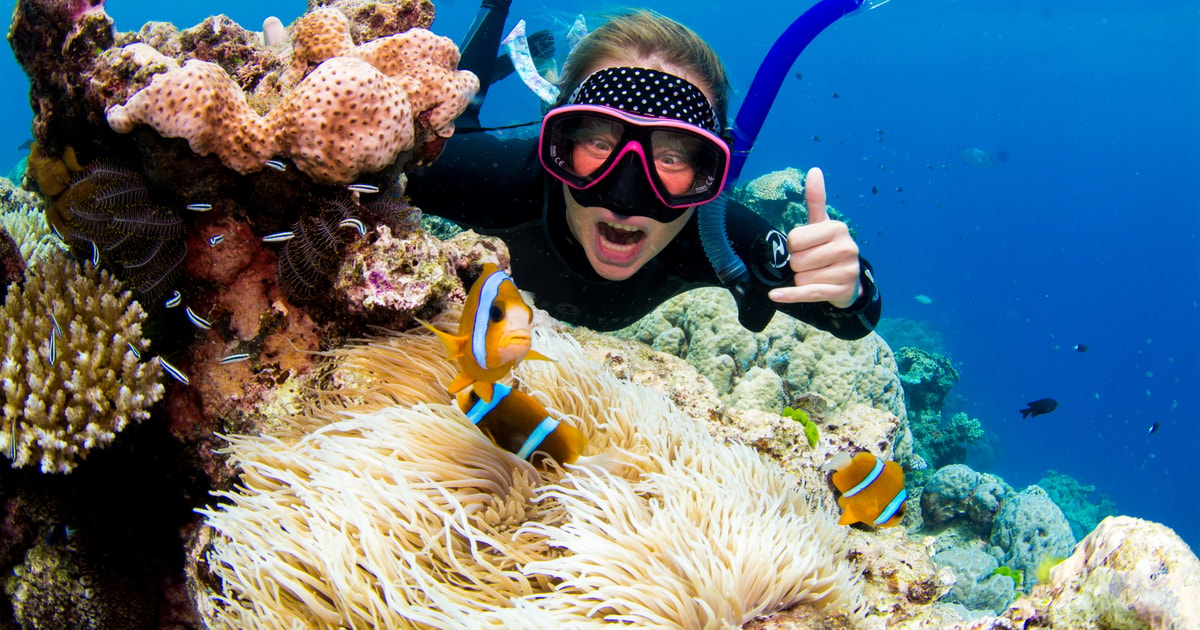 Full-day snorkeling trip at Hamata islands with Lunch