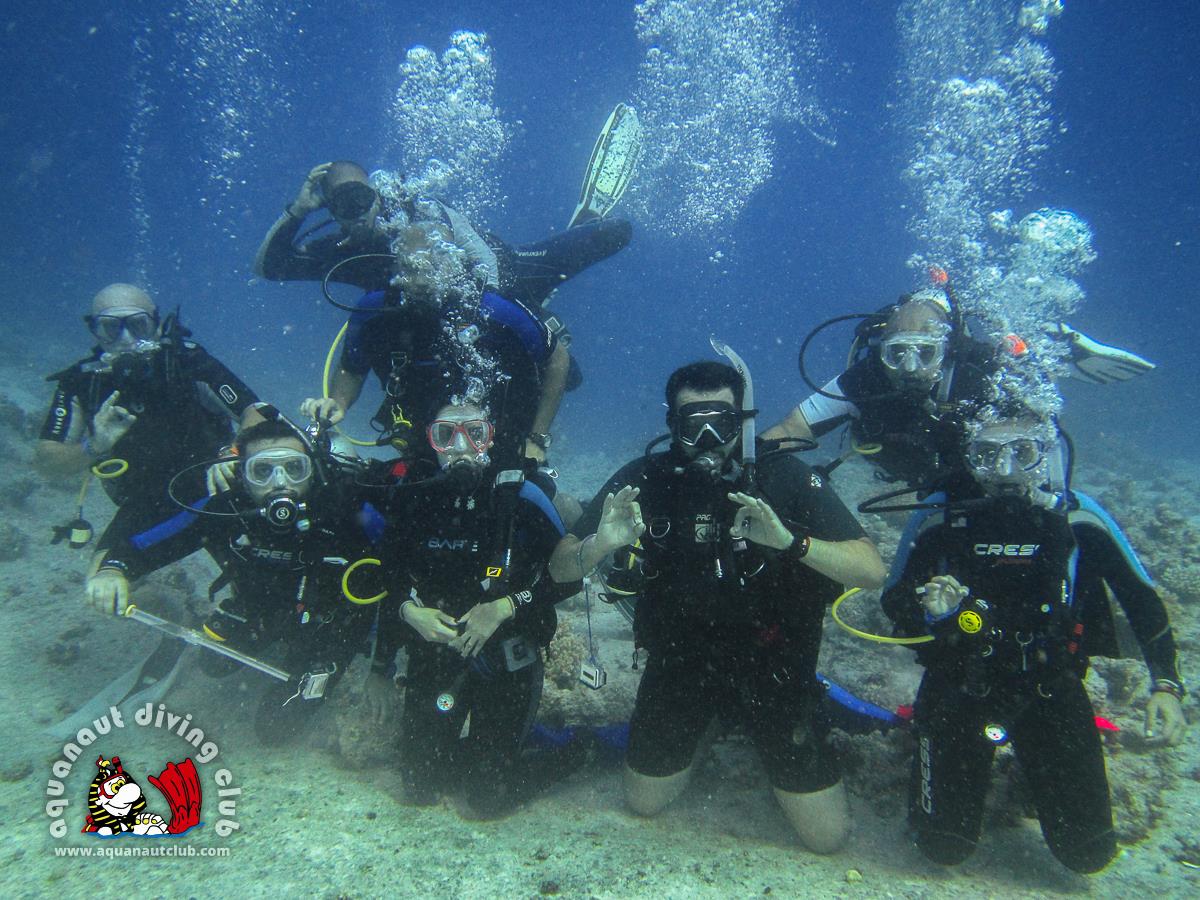 Marsa Alam Diving Adventure–Full-Day Red Sea Excursion