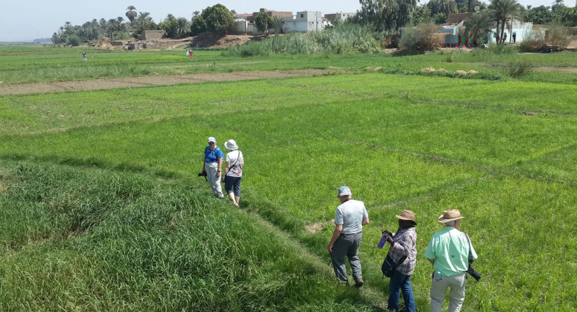 Explore and Experience Luxor as a Local