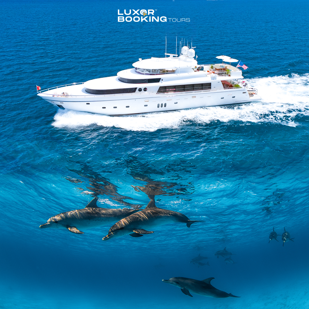 Full Day Dolphin House Boat Trip – Hurghada