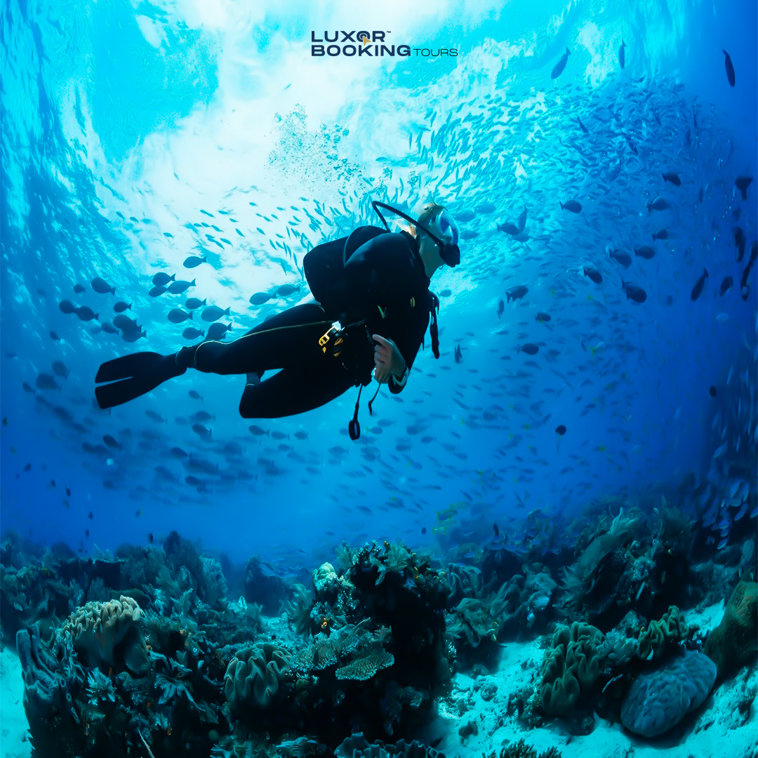 Scuba Diving Adventure – Sharm El Sheikh